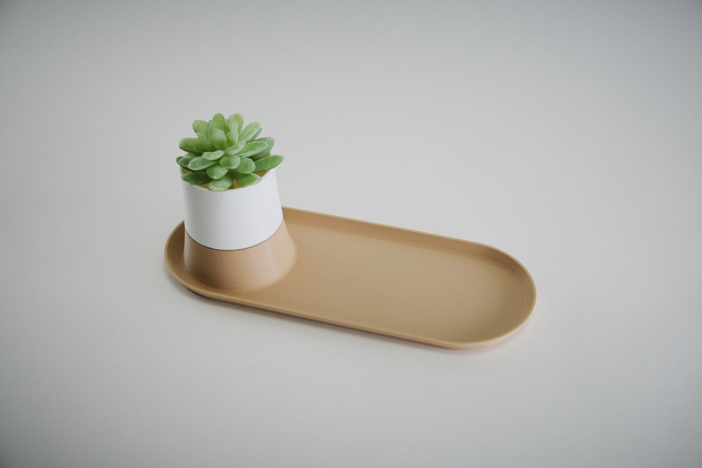 NOONA Succulent Pot & Tray - Honey and Ivy