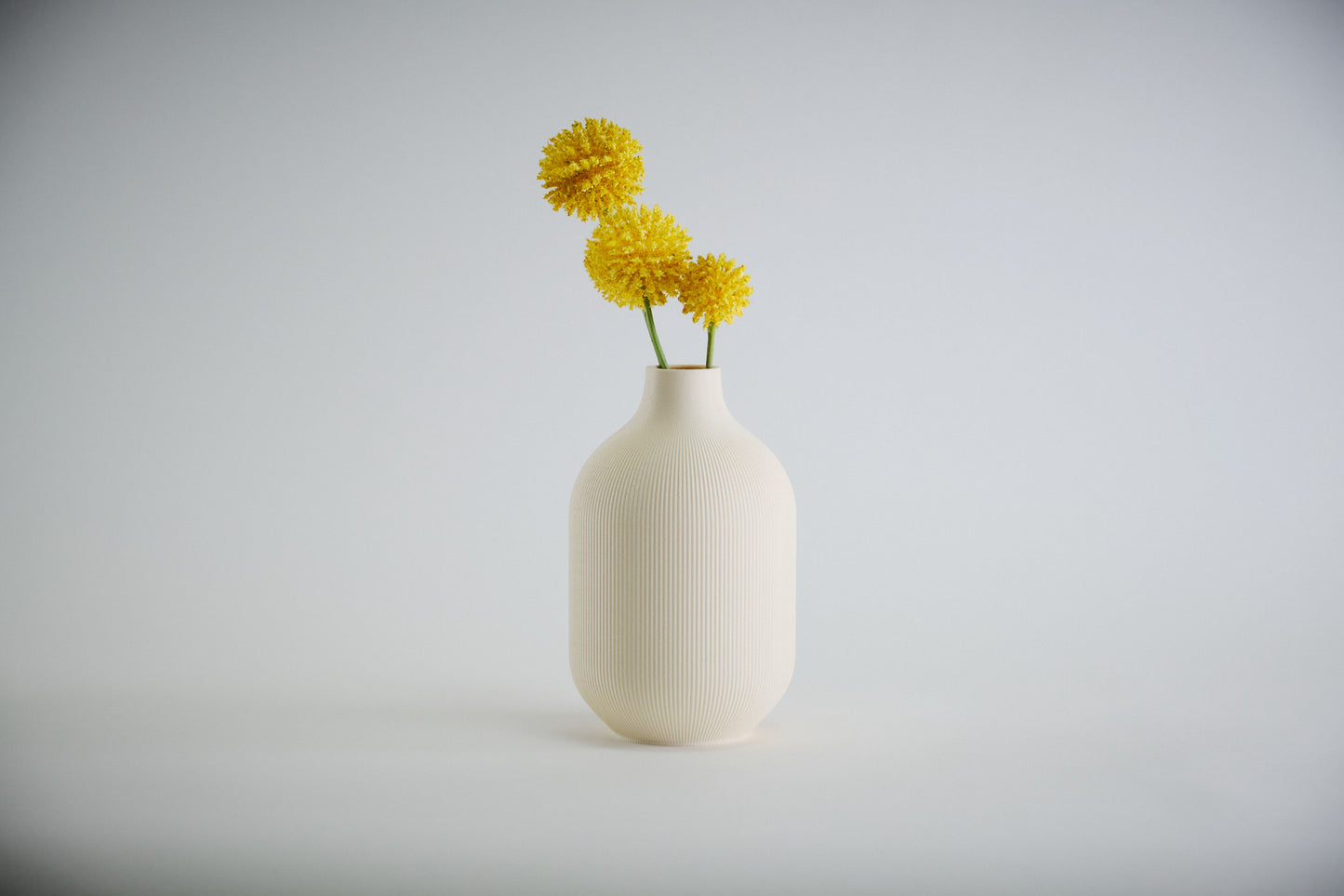 Aspen Vase I STYLE 01 Curves - Honey and Ivy