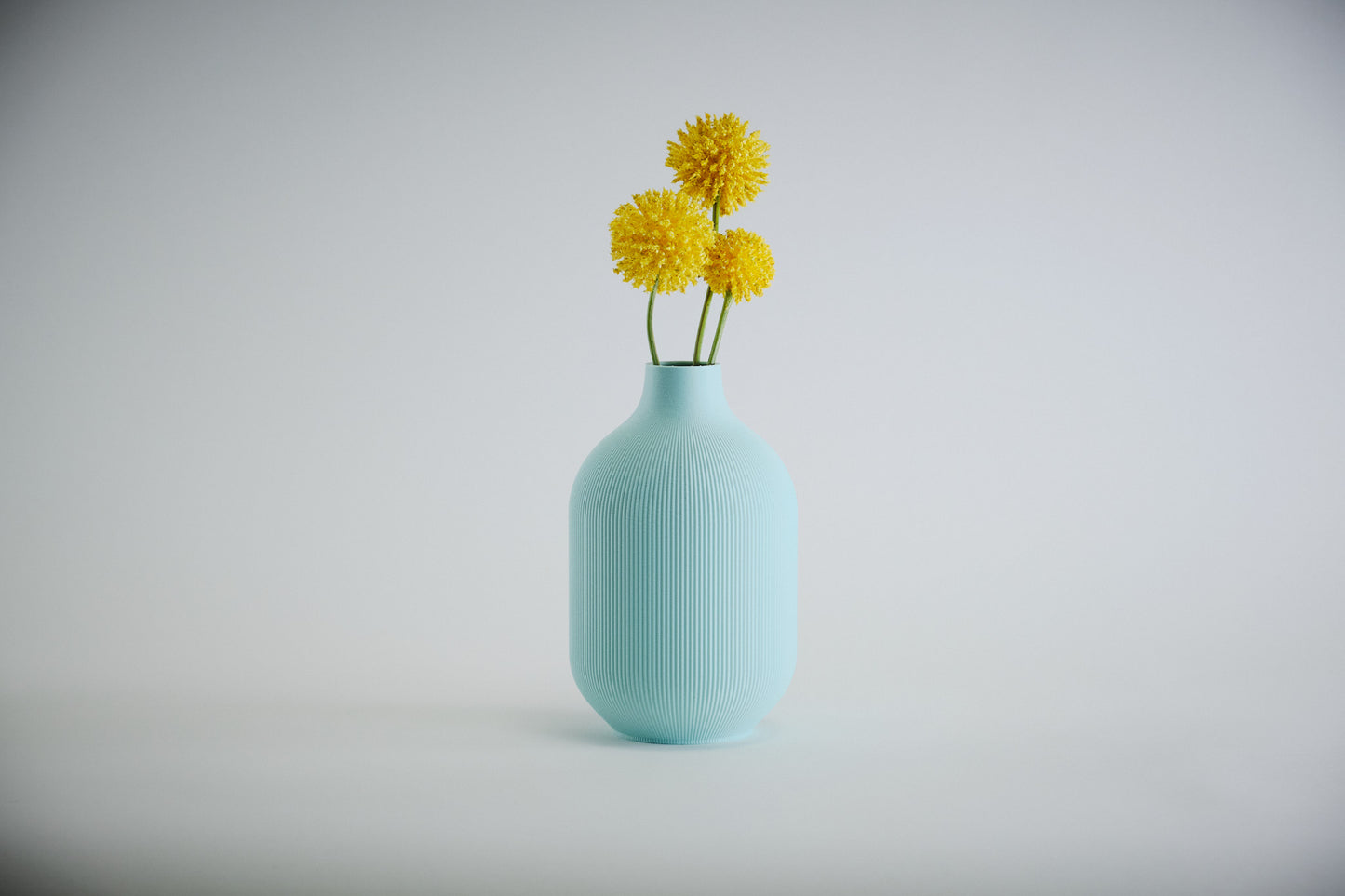 Aspen Vase I STYLE 01 Curves - Honey and Ivy