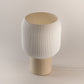 Aspen Plus Modern Table Lamp | Warm Ambient Lighting