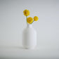 Aspen Vase  I  STYLE 01 Curves - Honey and Ivy 